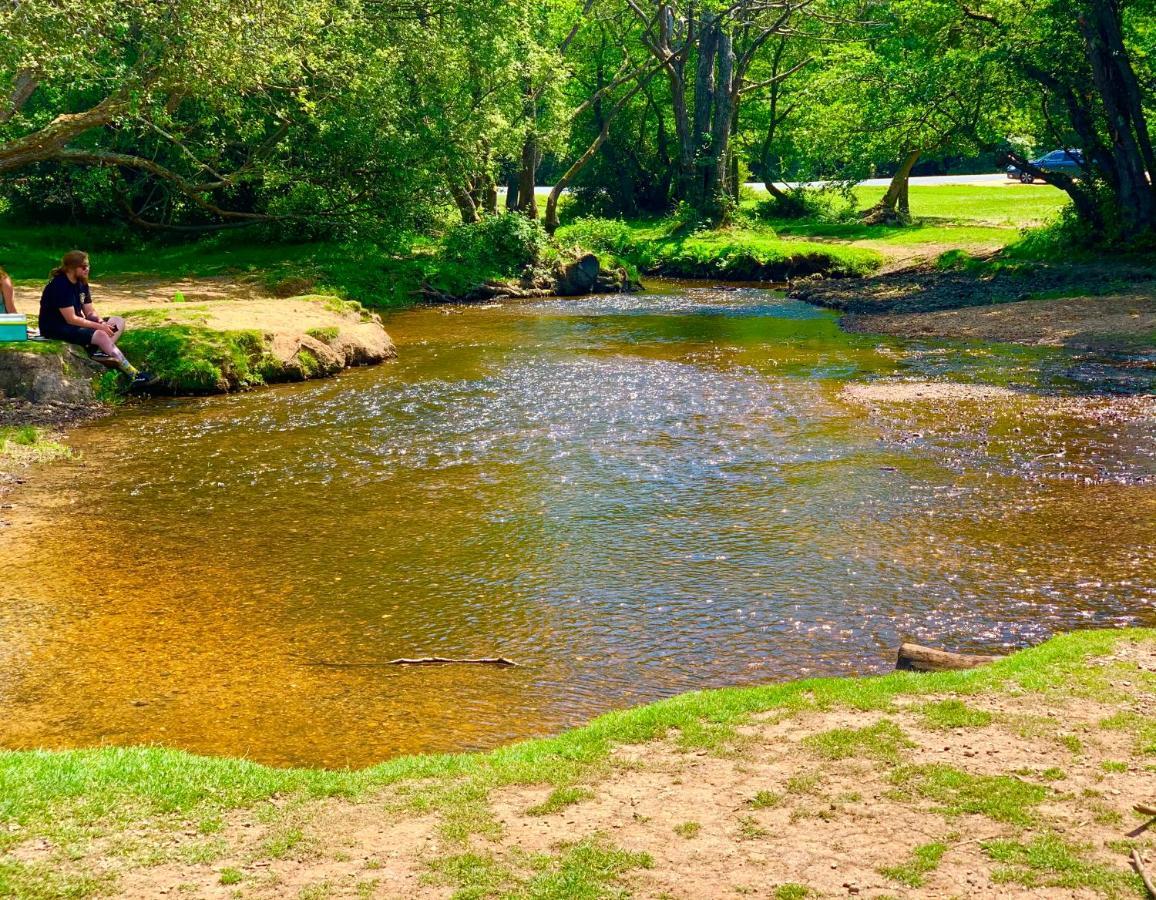 Holiday park Forest Haven Sway