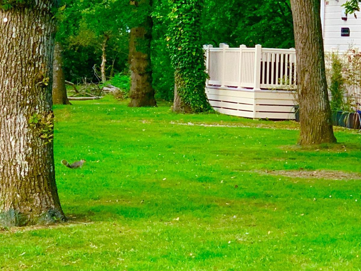 Forest Haven Holiday park 5*