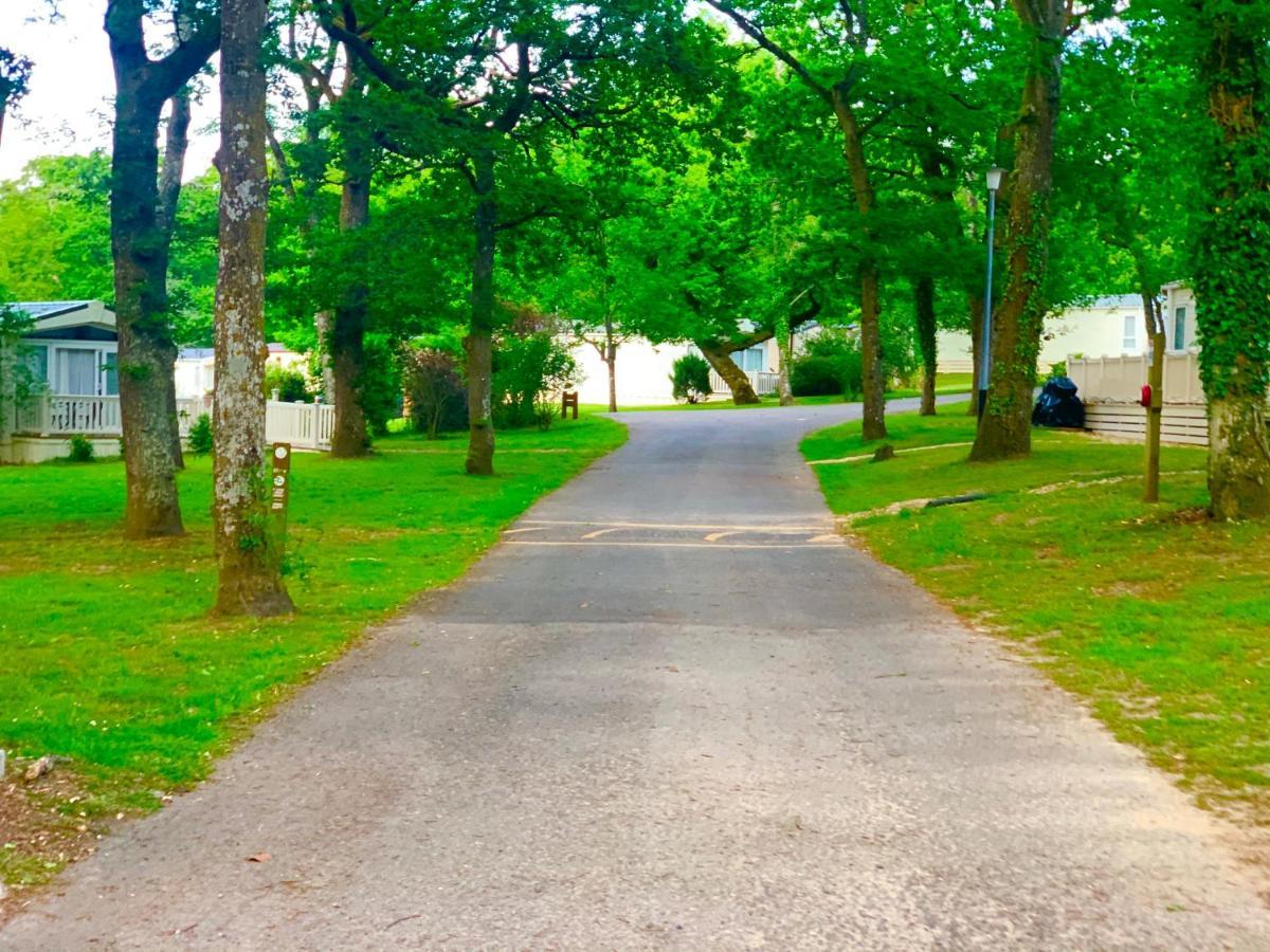 Holiday park Forest Haven Sway