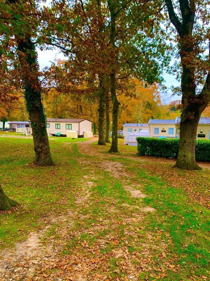 Holiday park Forest Haven